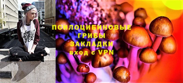 спайс Алексеевка
