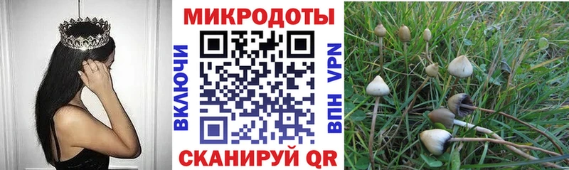 купить  сайты  Лаишево  Галлюциногенные грибы мухоморы 